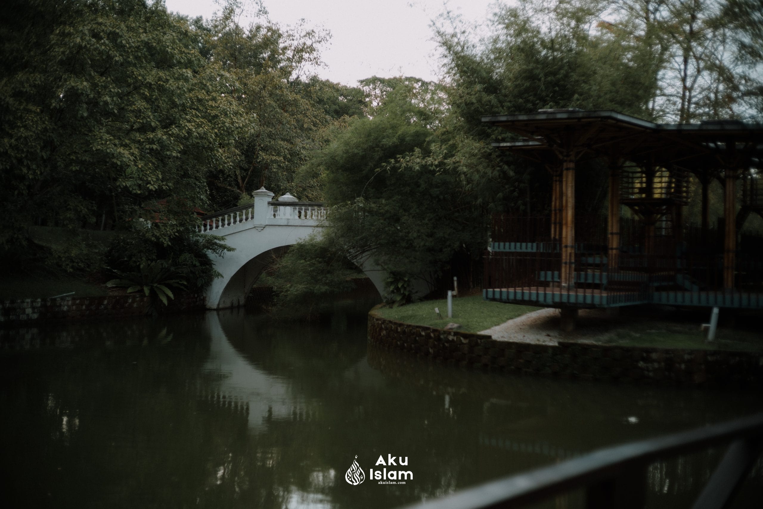 Album dan cetakan fotografi